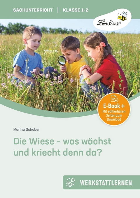 Die Wiese - was wächst und kriecht denn da? - Marina Schober