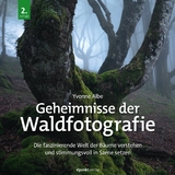 Geheimnisse der Waldfotografie -  Yvonne Albe