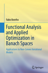 Functional Analysis and Applied Optimization in Banach Spaces - Fabio Botelho