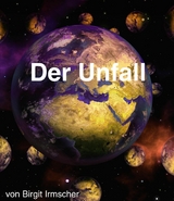 Der Unfall - Birgit Irmscher