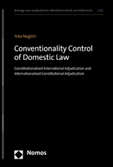 Conventionality Control of Domestic Law - Yota Negishi