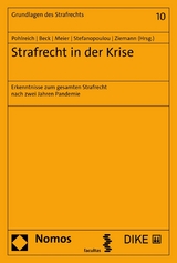 Strafrecht in der Krise - 