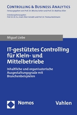 IT-gestütztes Controlling für Klein- und Mittelbetriebe - Miguel Liebe