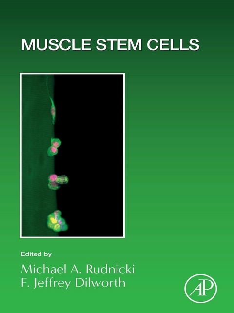 Muscle Stem Cells - 