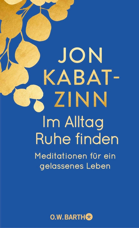 Im Alltag Ruhe finden -  Jon Kabat-Zinn