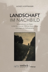 Landschaft im Nachbild - Agnes Hoffmann