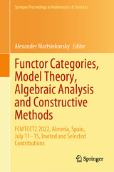 Functor Categories, Model Theory, Algebraic Analysis and Constructive Methods - 