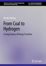 From Coal to Hydrogen - Qianlin Zhuang