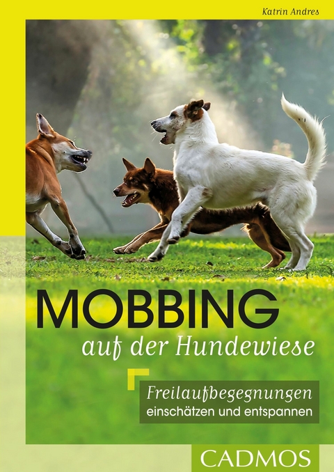 Mobbing auf der Hundwiese - Katrin Andres