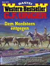 G. F. Unger Western-Bestseller 2672 - G. F. Unger