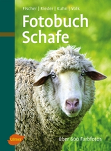 Fotobuch Schafe - Fischer, Gerhard; Rieder, Hugo; Fridhelm und Renate Volk