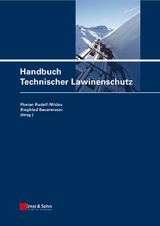 Schutzbauten gegen alpine Naturgefahren / Handbuch Technischer Lawinenschutz - 