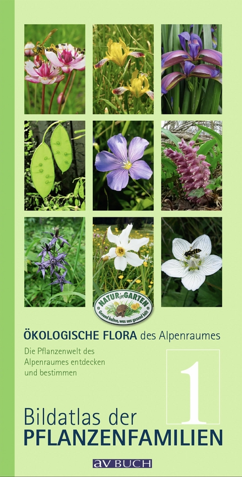 Ökologische Flora des Alpenraumes, Band 1 - Wolfgang Holzner, Wolfgang Adler, Matthias Kropf, Silvia Winter