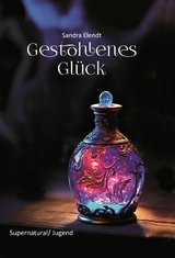 Gestohlenes Glück - Sandra Elendt