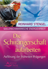 Die Schwangerschaftsmonate aufarbeiten - Reinhard Stengel