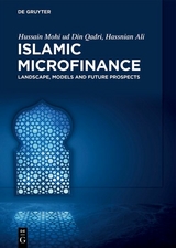 Islamic Microfinance -  Hussain Mohi ud Din Qadri,  Hassnian Ali