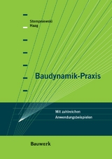 Baudynamik-Praxis - Björn Haag, Lothar Stempniewski