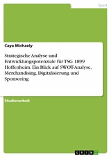 Strategische Analyse und Entwicklungspotenziale für TSG 1899 Hoffenheim. Ein Blick auf SWOT-Analyse, Merchandising, Digitalisierung und Sponsoring -  Caya Michaely