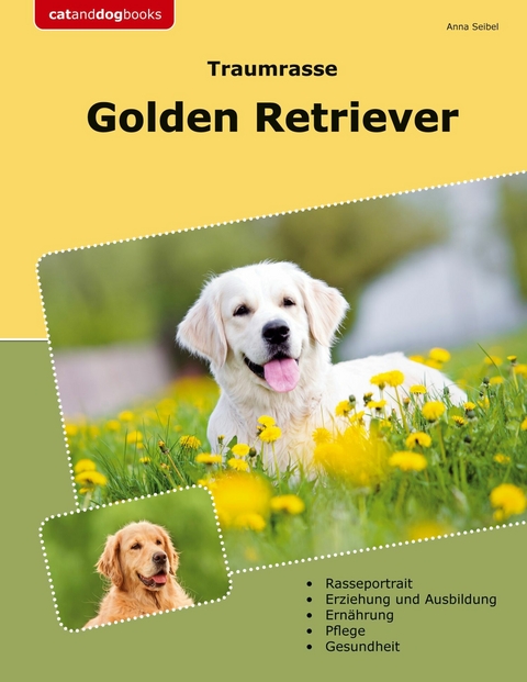 Traumrasse Golden Retriever - Anna Seibel