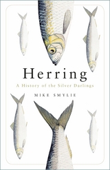 Herring -  Mike Smylie