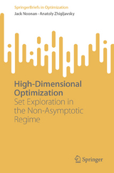 High-Dimensional Optimization - Jack Noonan, Anatoly Zhigljavsky