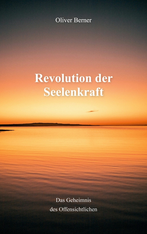 Revolution der Seelenkraft - Oliver Berner