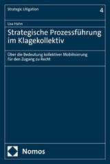 Strategische Prozessführung im Klagekollektiv - Lisa Hahn