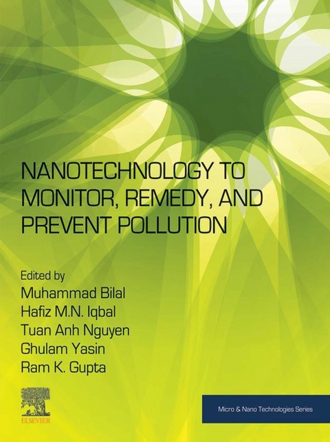 Nanotechnology to Monitor, Remedy, and Prevent Pollution - 