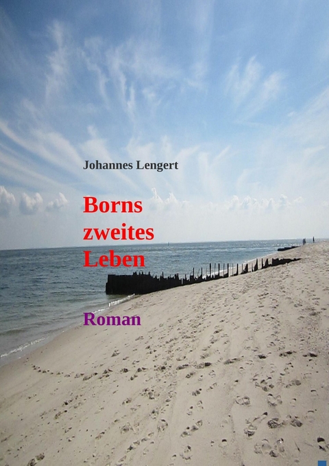 Borns zweites Leben - Johannes Lengert