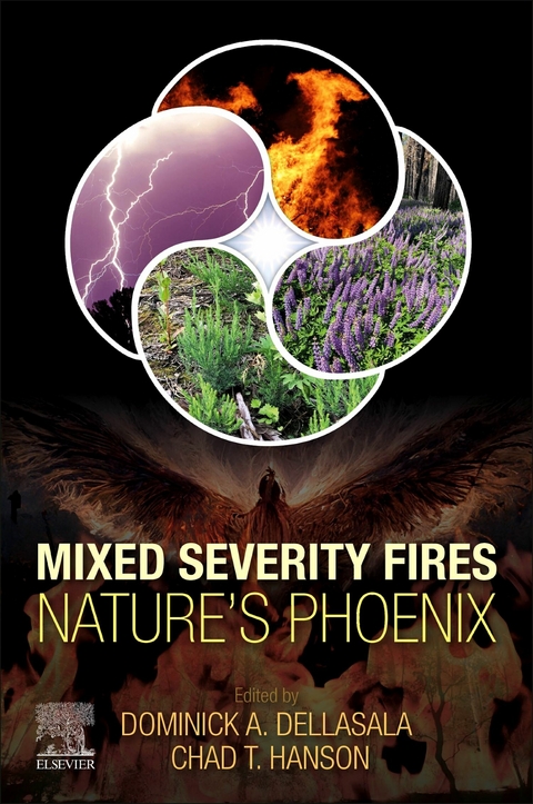 Mixed Severity Fires -  Dominick A. DellaSala,  Chad Hanson