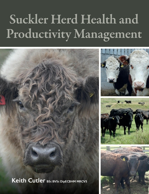 Suckler Herd Health and Productivity Management -  Keith Cutler