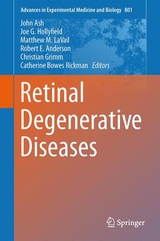 Retinal Degenerative Diseases - 