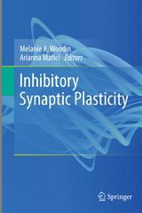 Inhibitory Synaptic Plasticity - 