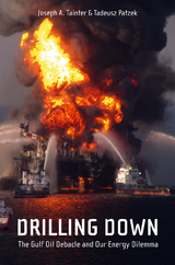 Drilling Down - Joseph A. Tainter, Tadeusz W. Patzek