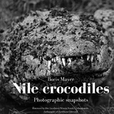 Nile crocodiles - Boris Mayer