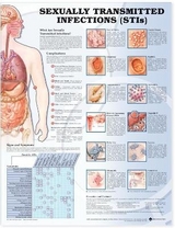 Sexually Transmitted Infections Anatomical Chart - 