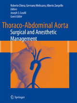 Thoraco-Abdominal Aorta - 