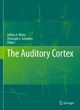 The Auditory Cortex - 