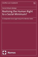 Realising the Human Right to a Social Minimum? - Hannah Mirjam Adzakpa