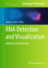 RNA Detection and Visualization - 