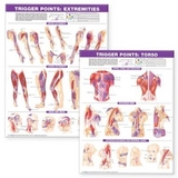 Trigger Point Chart Set: Torso & Extremities Paper - 