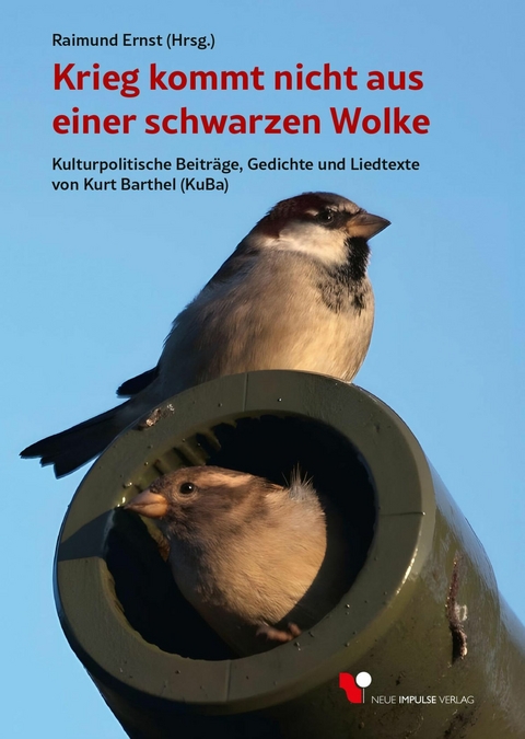 Krieg kommt nicht aus einer schwarzen Wolke - Raimund Ernst