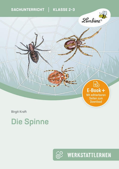 Die Spinne - Birgit Kraft