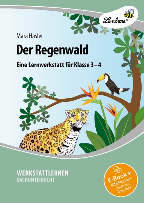 Der Regenwald - Mara Hasler