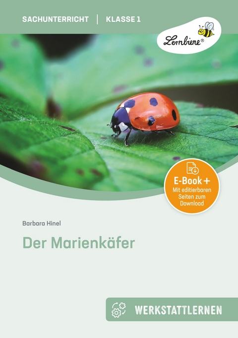 Der Marienkäfer - Barbara Hinel