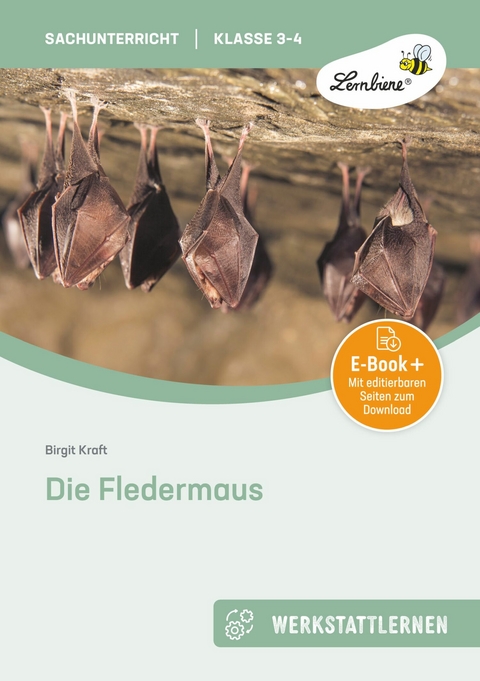 Die Fledermaus - Birgit Kraft