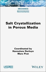 Salt Crystallization in Porous Media - 