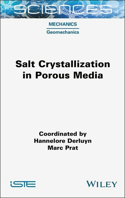 Salt Crystallization in Porous Media - 