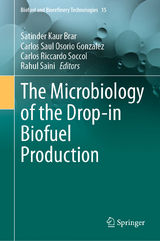 The Microbiology of the Drop-in Biofuel Production - 