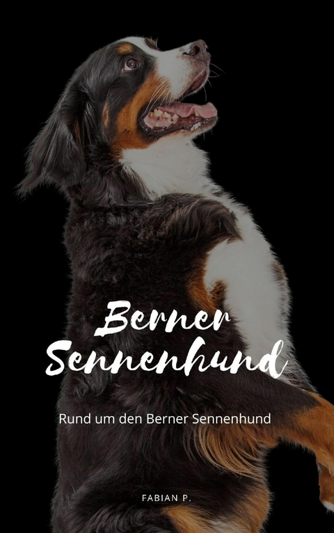 Berner Sennenhund - Fabian Pscherer